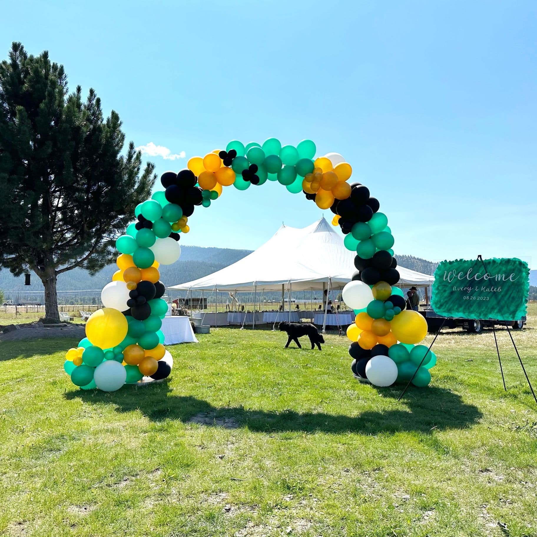 Organic Outdoor Wedding Arch - undefined