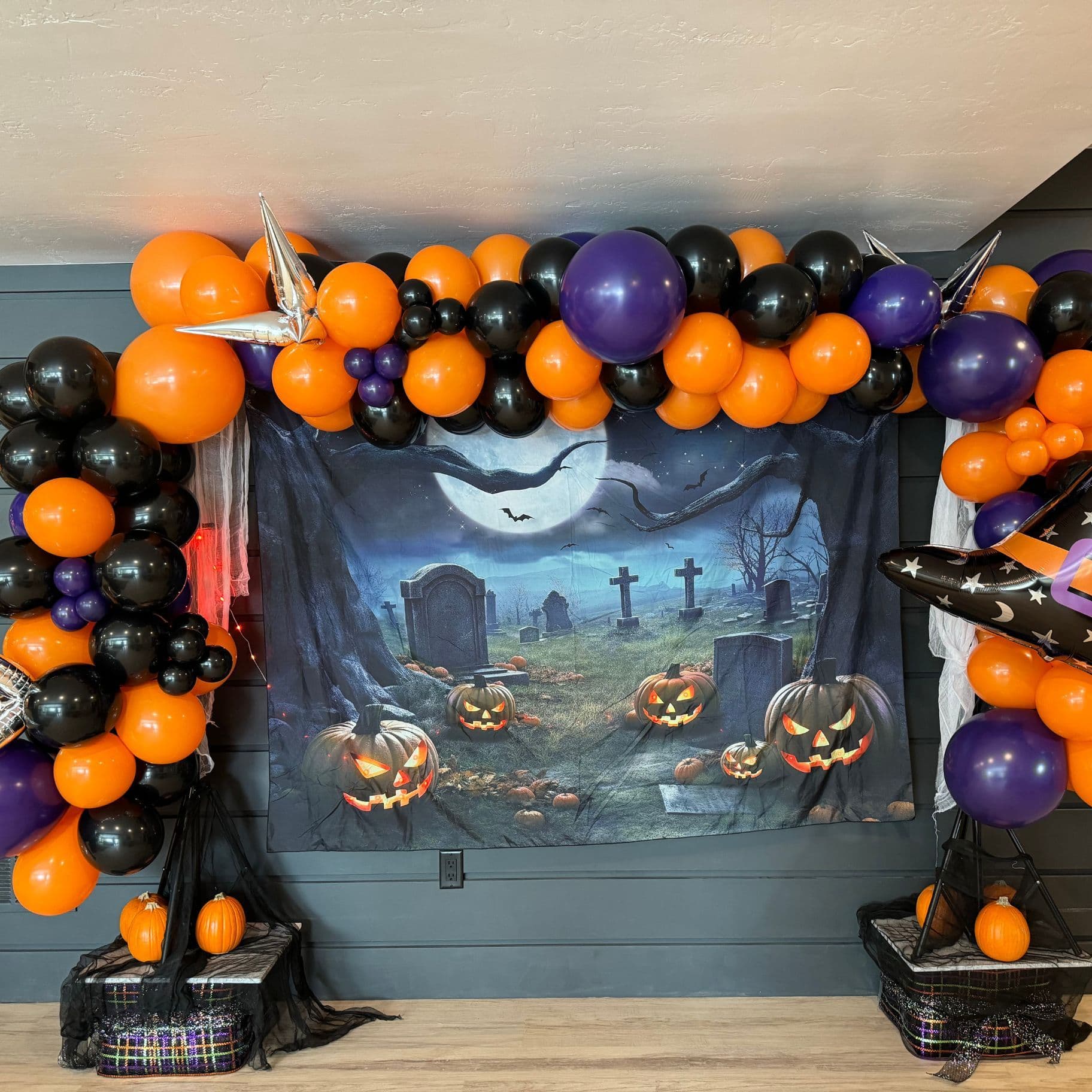 Halloween Party Photo Backdrop - undefined